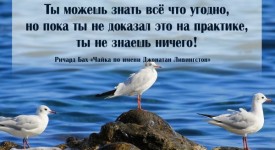 Смотрите онлайн на буксе краткое содержание книги «Чайка по имени Джонатан Ливингстон» Ричарда Баха