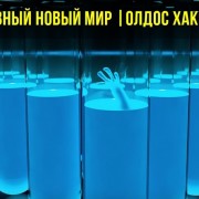 Краткое содержание книги « О дивный новый мир» О.Хаксли