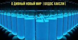 Краткое содержание книги « О дивный новый мир» О.Хаксли