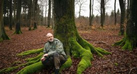 Петер Вольлебен «Тайная жизнь деревьев» читать онлайн