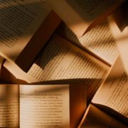 Витольд Гомбрович читать книги онлайн