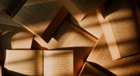 Витольд Гомбрович читать книги онлайн