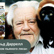 Джеральд Даррелл «Под пологом пьяного леса» читать