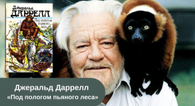 Джеральд Даррелл «Под пологом пьяного леса» читать